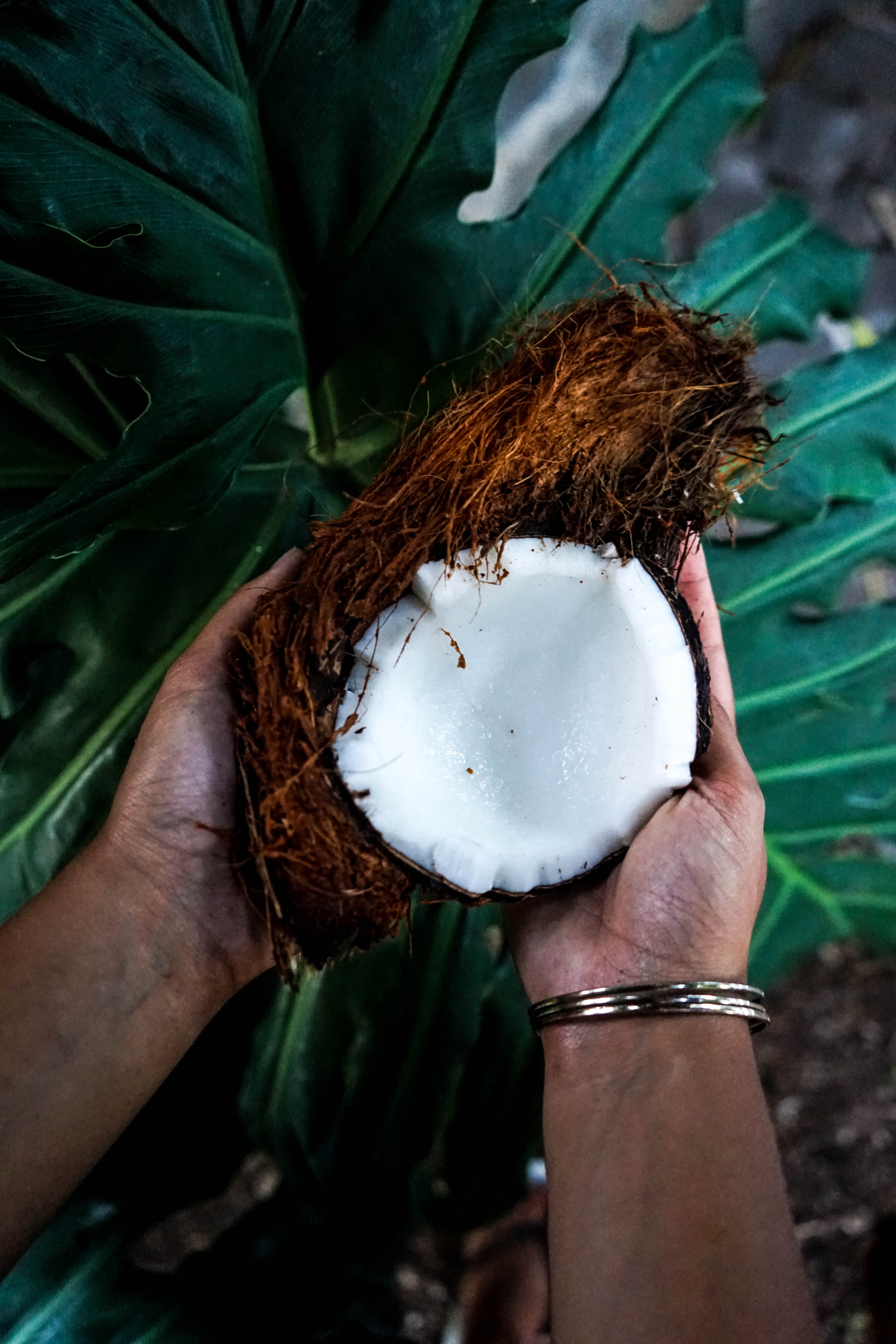 dentifrice huile de coco